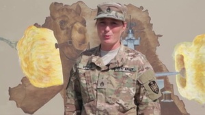 Staff Sgt. Veale - Veterans Day Shout out