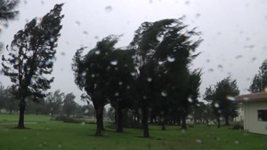 Typhoon Saola