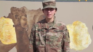 Sgt. Hanson - Veterans Day Shout out