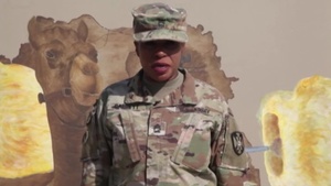 Master Sgt. Lisa Garrett - Veterans Day Shout out