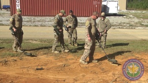 EOD Minehound Detection
