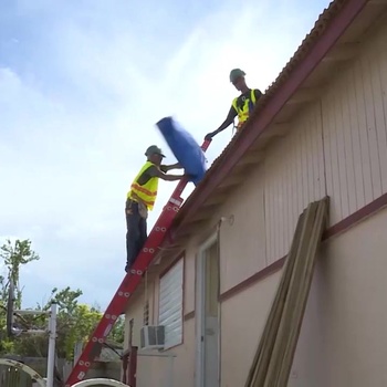 Hurricane Maria: Blue Roof Relief