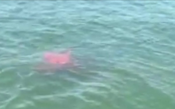 Submarine Rescue Chamber Operations