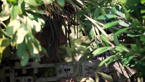 Cover and Concealment