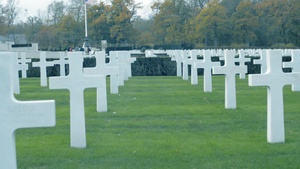 Veteran's Day at Cambridge American Cemetery