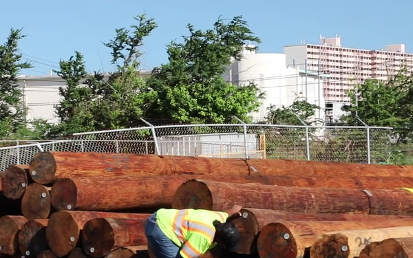 Power Pole Inspection in Puerto Rico
