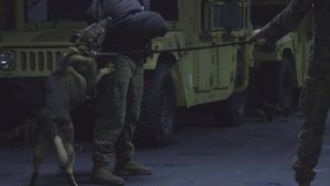 26th MEU conducts various phases of K-9 obedience and aggression training