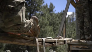 Camp Rapid Training