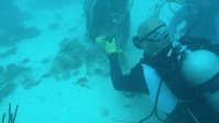Veteran Combat Divers Repair Reefs in Puerto Rico