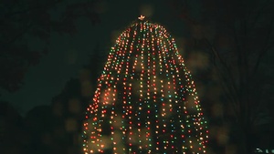 All Hands Update: Tree Lighting