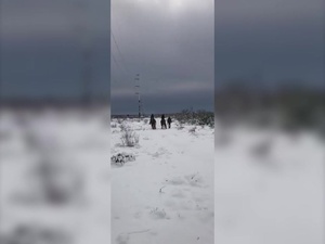 Border Patrol Rescues Aliens