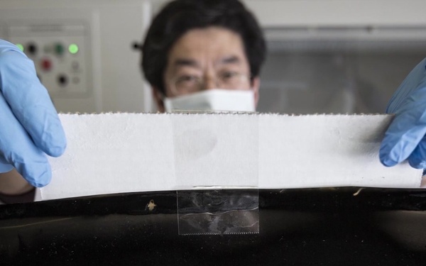 Seeding the Future: General Nano LLC