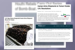 Open Source Video Evidence