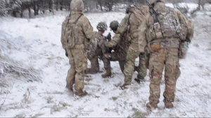 Battle Group Poland Dire Wolf II Mortar Team