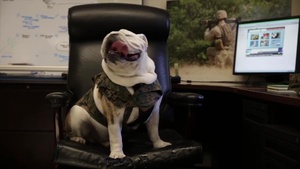 Be Like Chesty - Do your BRS Training