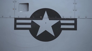 Gunfighter Flag 18-1