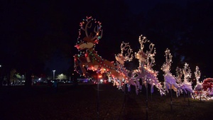 62nd Annual Fort Eustis Christmas Tree Lighting