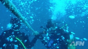 MWR Dive Trip