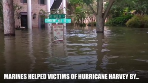 Hurricane Harvey