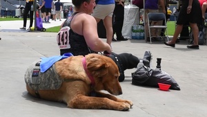 Service Animals of the Warrior Games