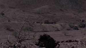 EARF Soldiers Conduct Team Maneuvers and Live Fire Training