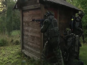 Marines participate in Aurora 17