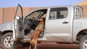 822 EBDS MWD training for SM
