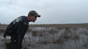 Watching Over The Wetlands_Slate version