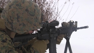 Marine Forces Reserve Nordic Frost