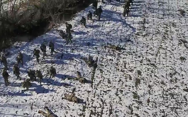 Operation Bowie Strike