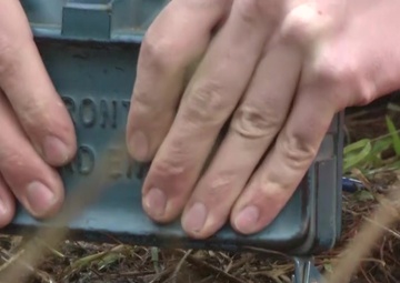 Best Warrior 18th MP