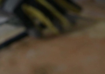 VALOR Program at Work in Humacao