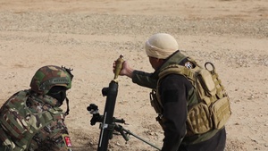 Australian Mortar Trainers