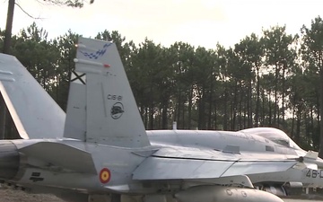 Real Thaw 2018  - Portugal Hosts A Live-Fly Exercise