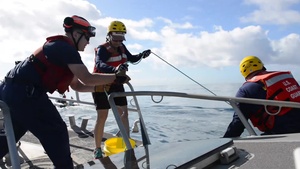Coast Guard, NOAA conduct whale disentanglement training