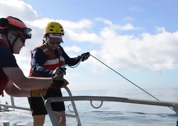 Coast Guard, NOAA conduct whale disentanglement training