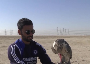 Kuwaiti Falconers