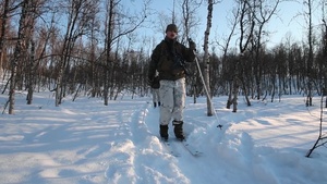Arctic Movement - White Claymore