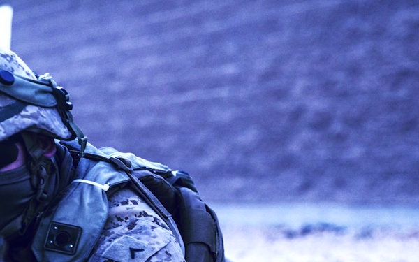 2nd LAR and Army soldiers participate in FTE