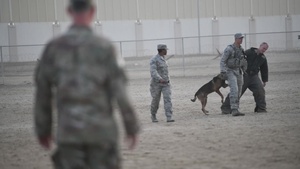 BROLL (with soundbites): BG France Participates in MWD Demostration