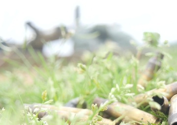 Purvis Native Competes in Mississippi National Guard Best Warrior Competition