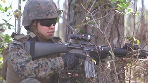 2nd MLGs Marine of the Year