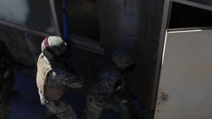 II MIG Marines conduct Scenario Provisional Infantry Training