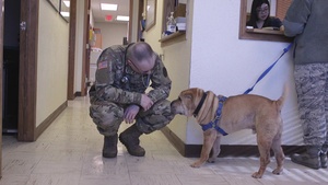MAFB Vet Clinic