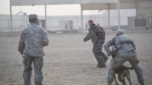 Package: BG France Participates in K9 Demonstration on ADAB