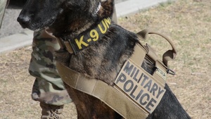 A doggone day in the Army