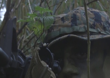 1/3 Marines Conduct Patrolling Exercise During Exercise Bougainville I
