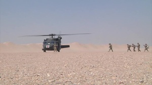 Desert Vision 7 (Women's History Month) Edition