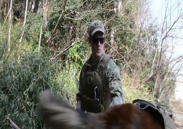 Joint K9 Veterans Day