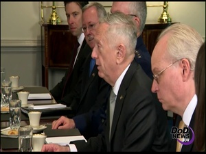 Mattis Welcomes Crown Prince of Saudi Arabia to Pentagon